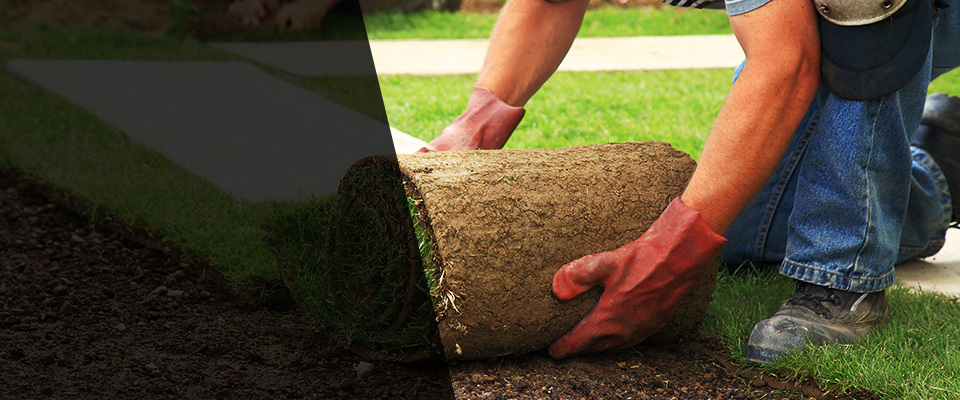 Elverta Landscapers